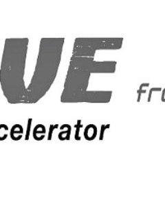 'Drive' Accelerator Programme By Belron Group