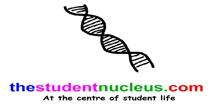 Student-led business 'thestudentnucleus.com'