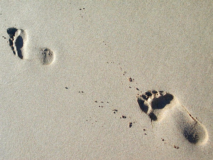 Free Images footsteps-in-the-sand-2-1498370