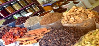 Launching A Food Business